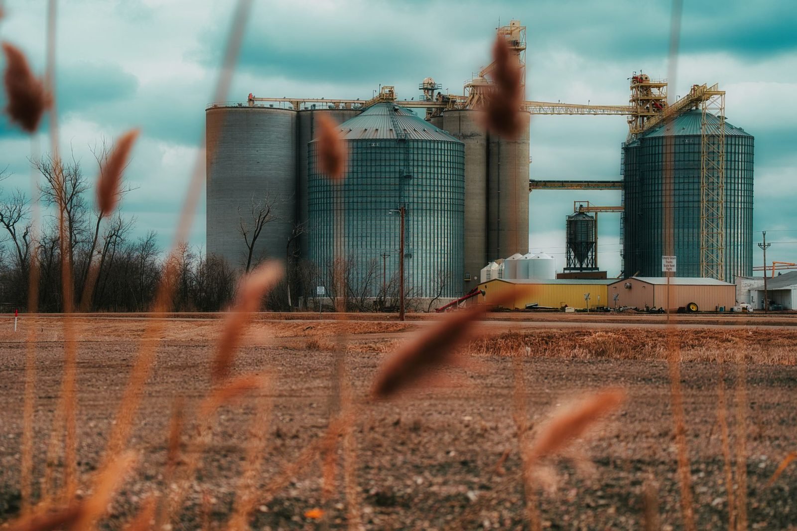 Silos de grano en el campo